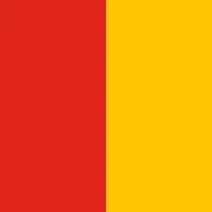 Old Vatican flag 