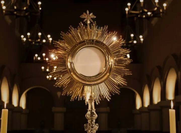 History of Tantum Ergo Sacramentum Hymn(Latin and English version)