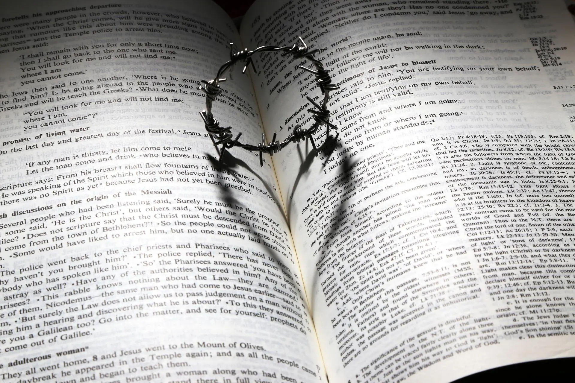 Catholic doctrines in the Bible with reference