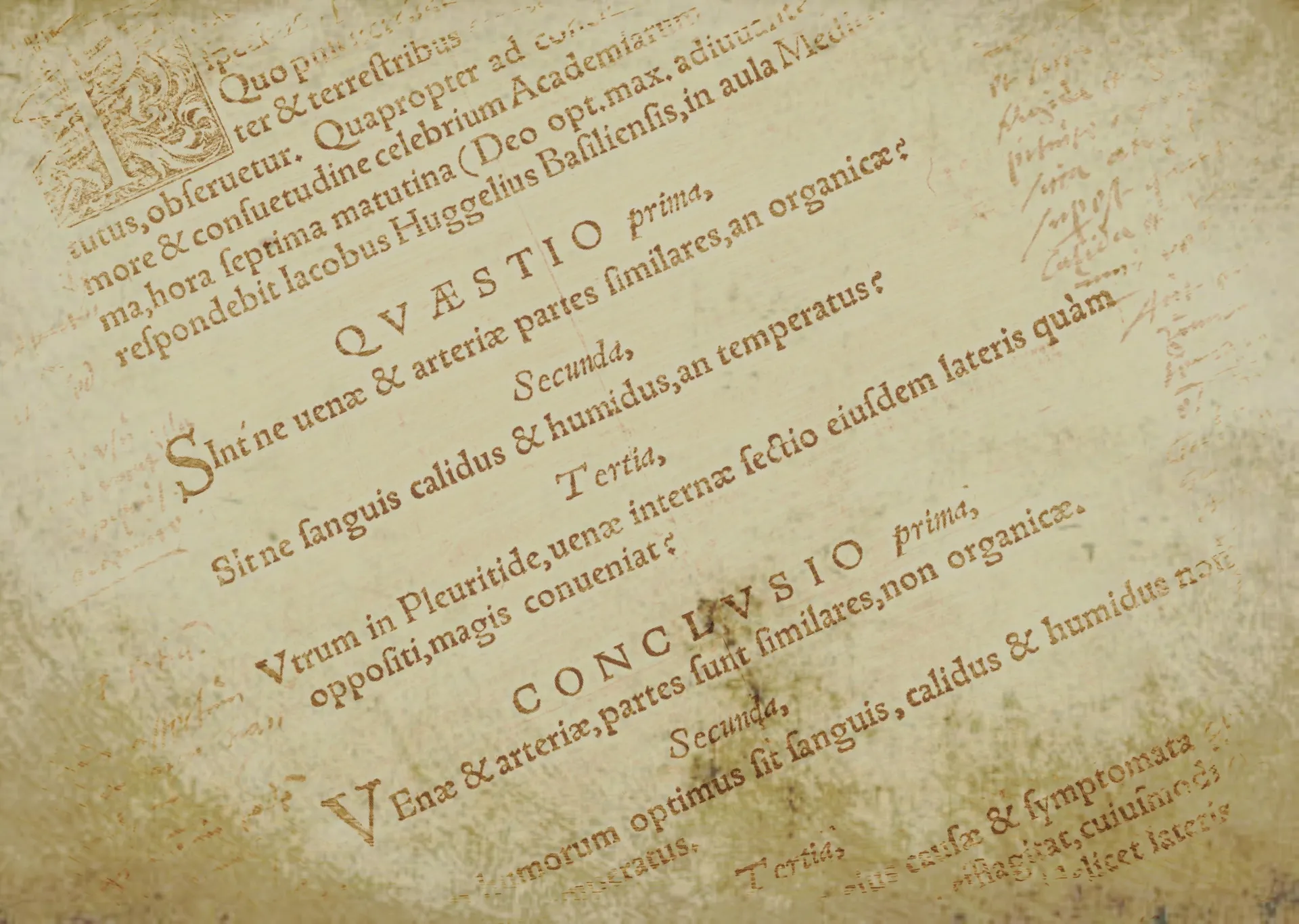 How to master English by learning Latin.