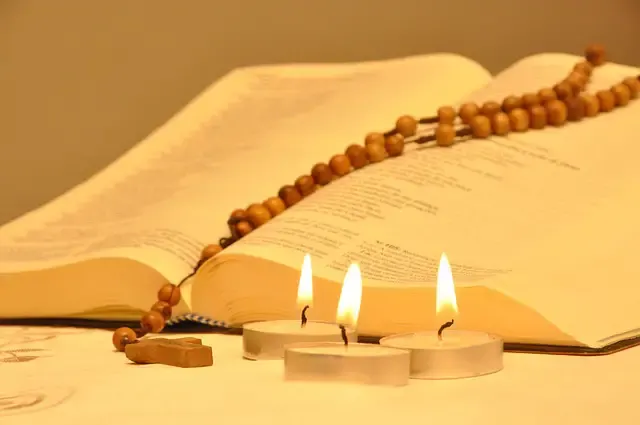 The Fifteen Promises to those that dedicate their life saying the Holy Rosary daily.