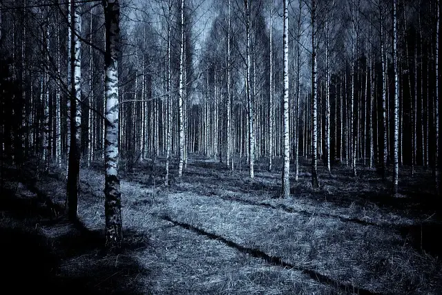 12 Catholic Prayers against powers of darkness