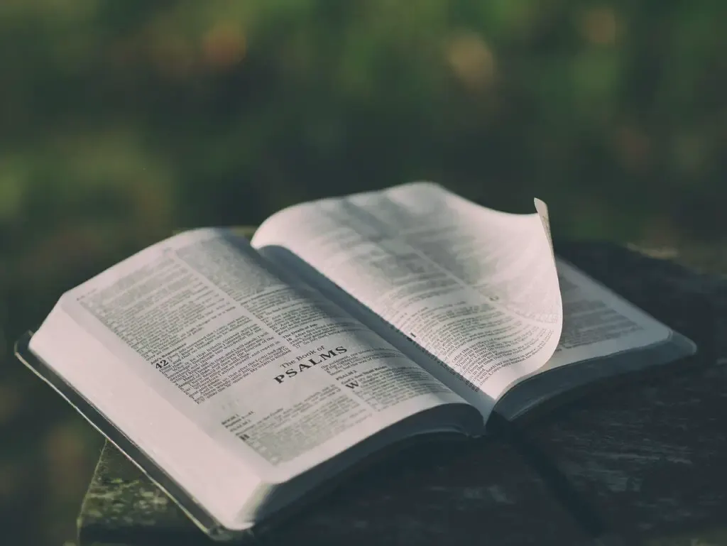 Difference between KJV and NIV version of the Bible