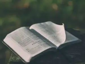 Difference between KJV and NIV version of the Bible