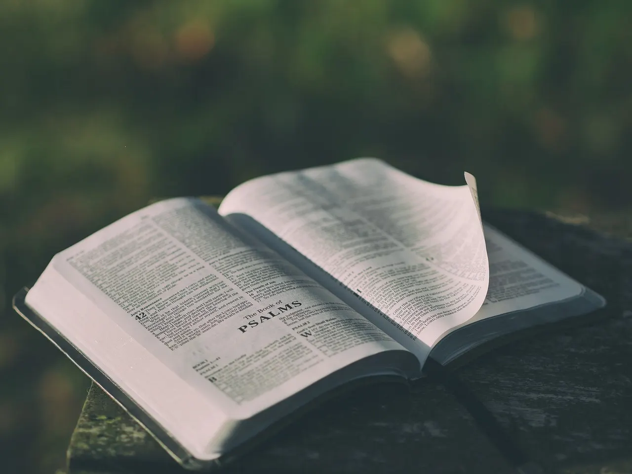Difference between KJV and NIV version of the Bible