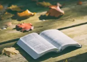 Difference between NIV and TNIV version of the Bible.