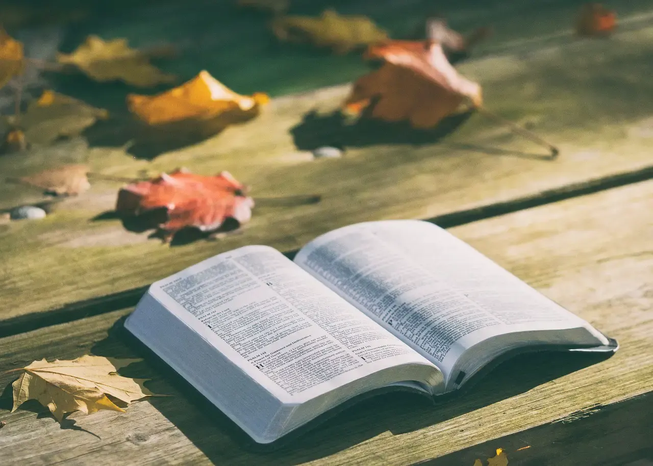 Difference between NIV and TNIV version of the Bible.