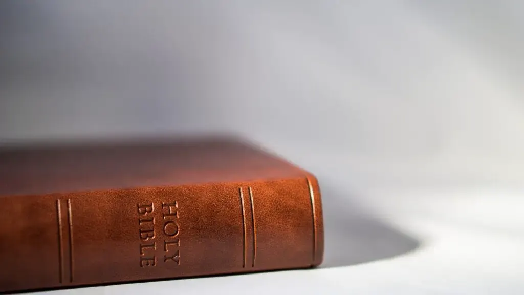Difference between Catholic Bible and Protestant Bible.