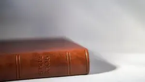 Difference between Catholic Bible and Protestant Bible.