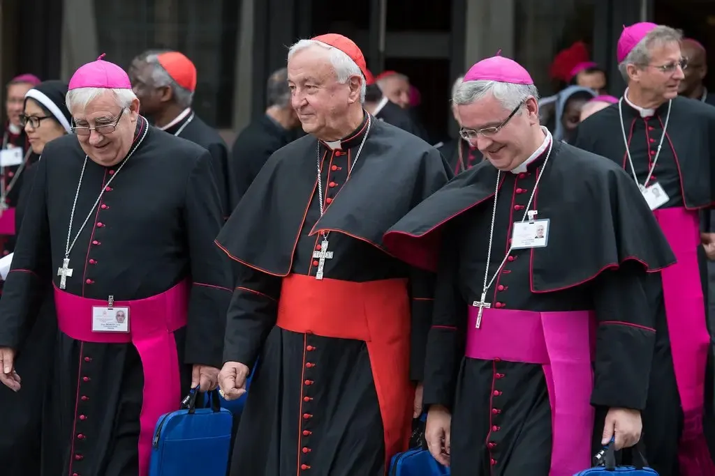 Synod of Bishops