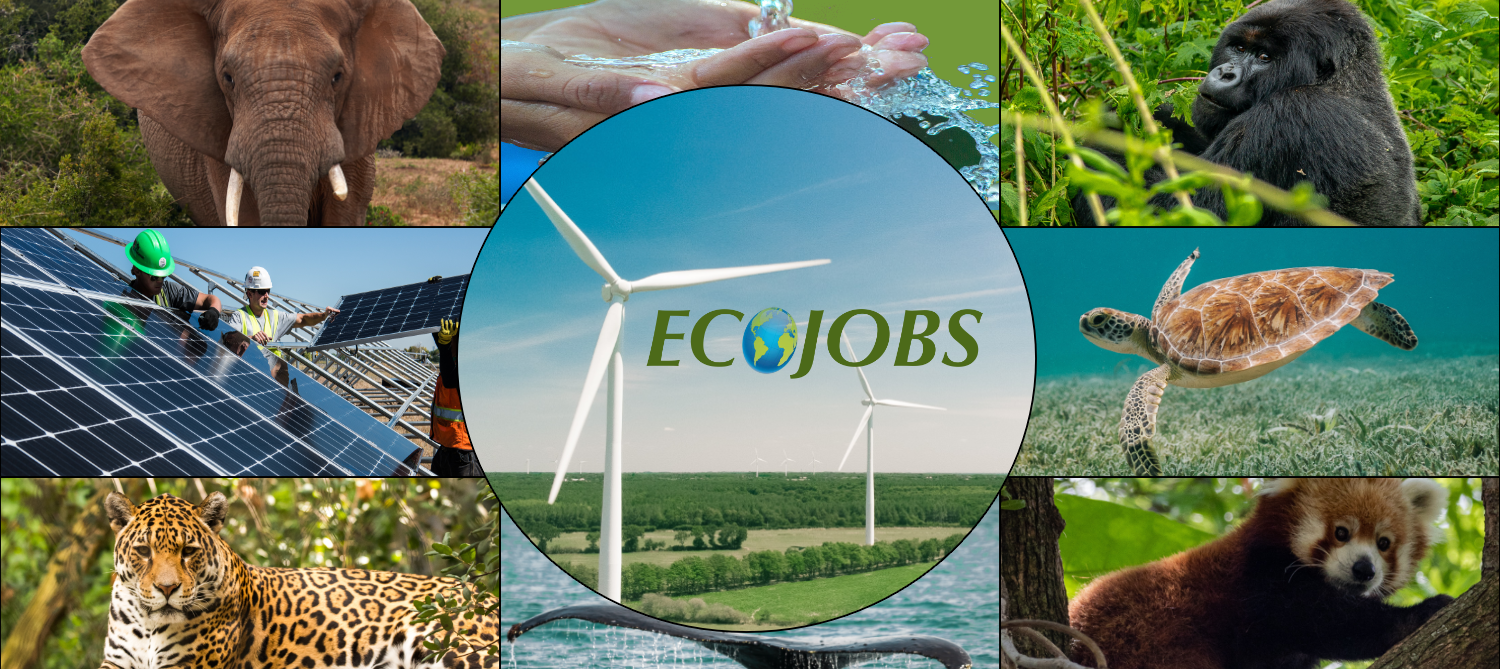 Green Jobs: Eco-Friendly Careers in the United States"