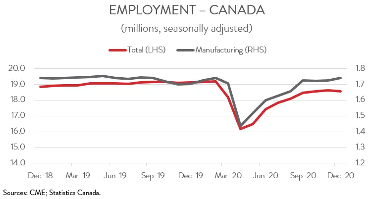 "Unlocking Opportunities: Navigating the Job Market in Canada"