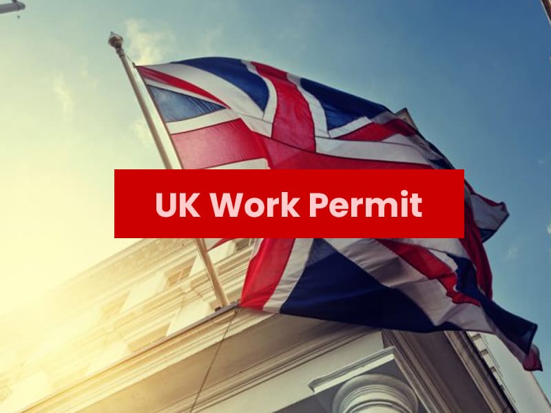 <strong>In-Demand Skills: Finding Work in the United Kingdom</strong>