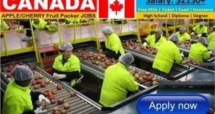 Fruit Packaging Jobs in Canada – Apply Now
