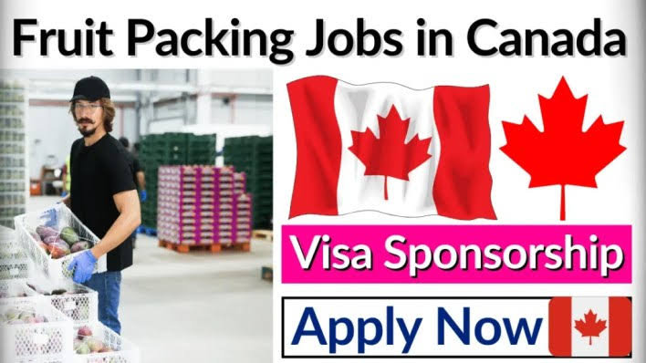 Fruit Packaging Jobs in Canada 2024/2025: A Golden Opportunity
